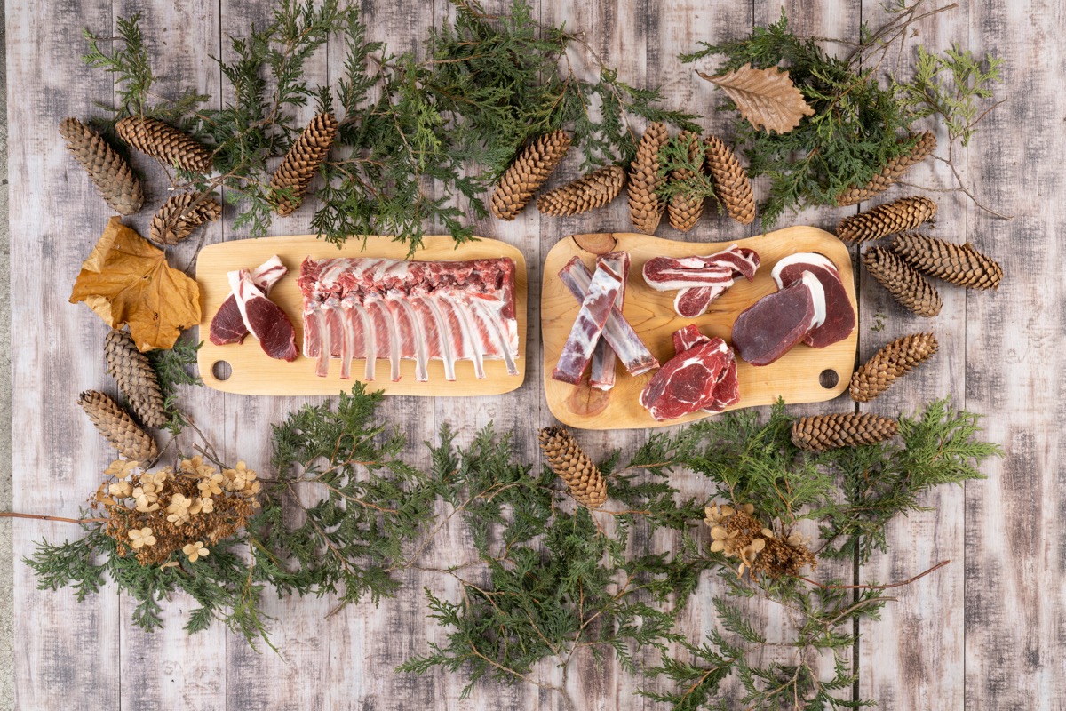 エゾ鹿肉 ビタミンB群