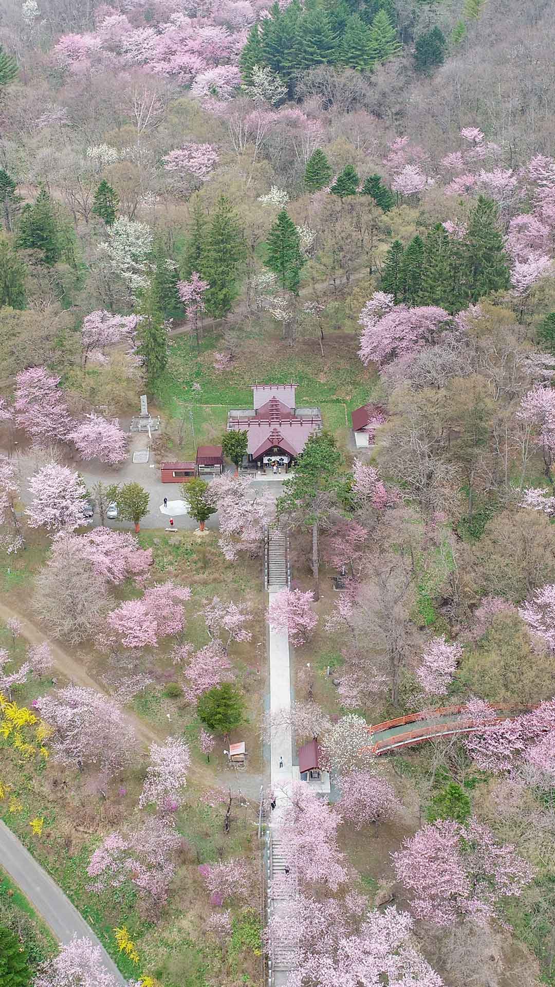 春の新得町