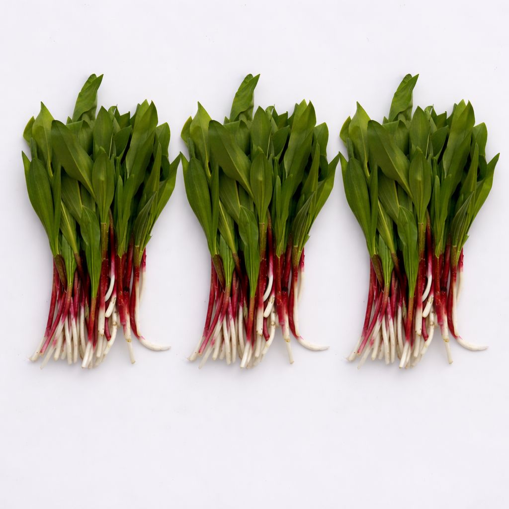 【季節限定・予約販売】行者ニンニク600g　エゾ鹿肉プレミアムジンギスカン極 500ｇ 3